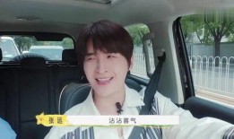 张远爆料陆虎事件视频全集,视频全集深度解析