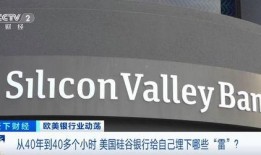 硅谷银行最新爆料,揭秘科技巨头融资内幕